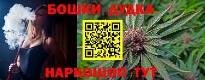 индика Будённовск
